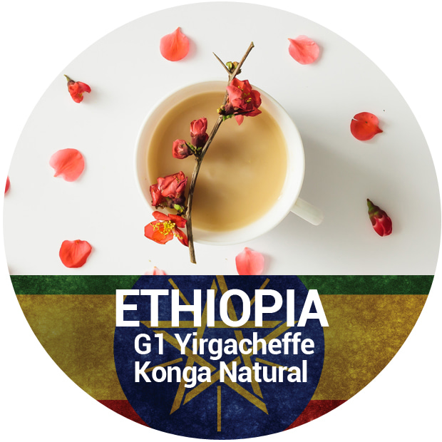 에티오피아 예가체프 콩가 G1
